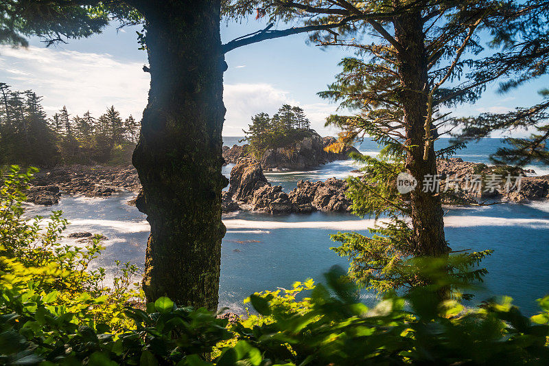 Ucluelet BC海景温哥华岛